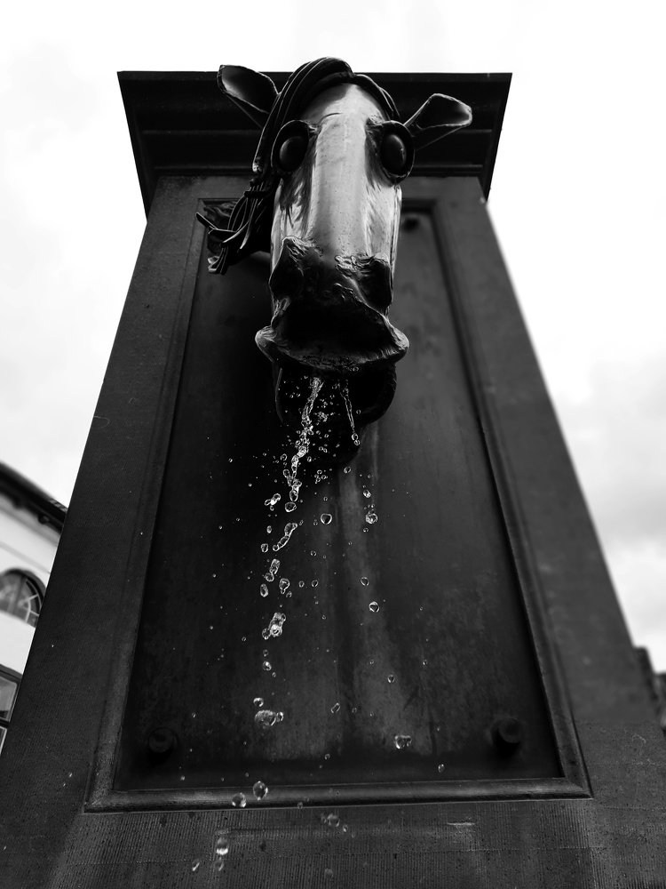 Photograph by Мирослав Храновский