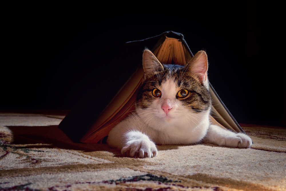 Photograph by Устюжанин Михаил