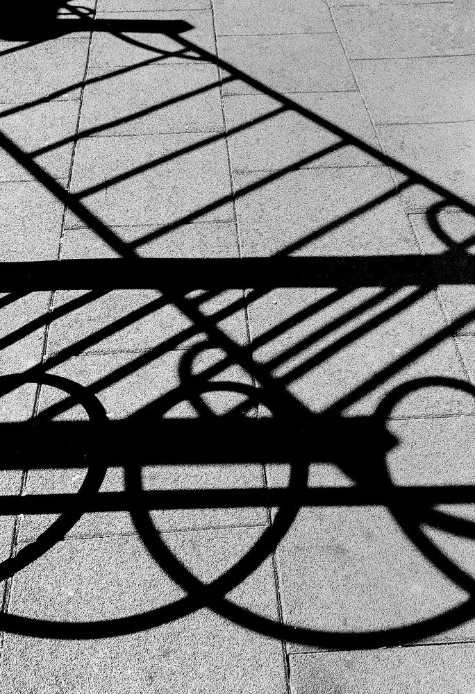 Фотография автора Дарина