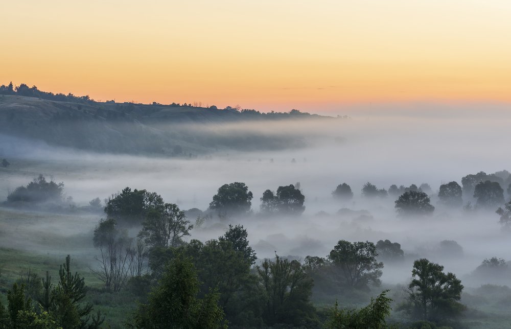 Photograph by Дмитрий Новоселов