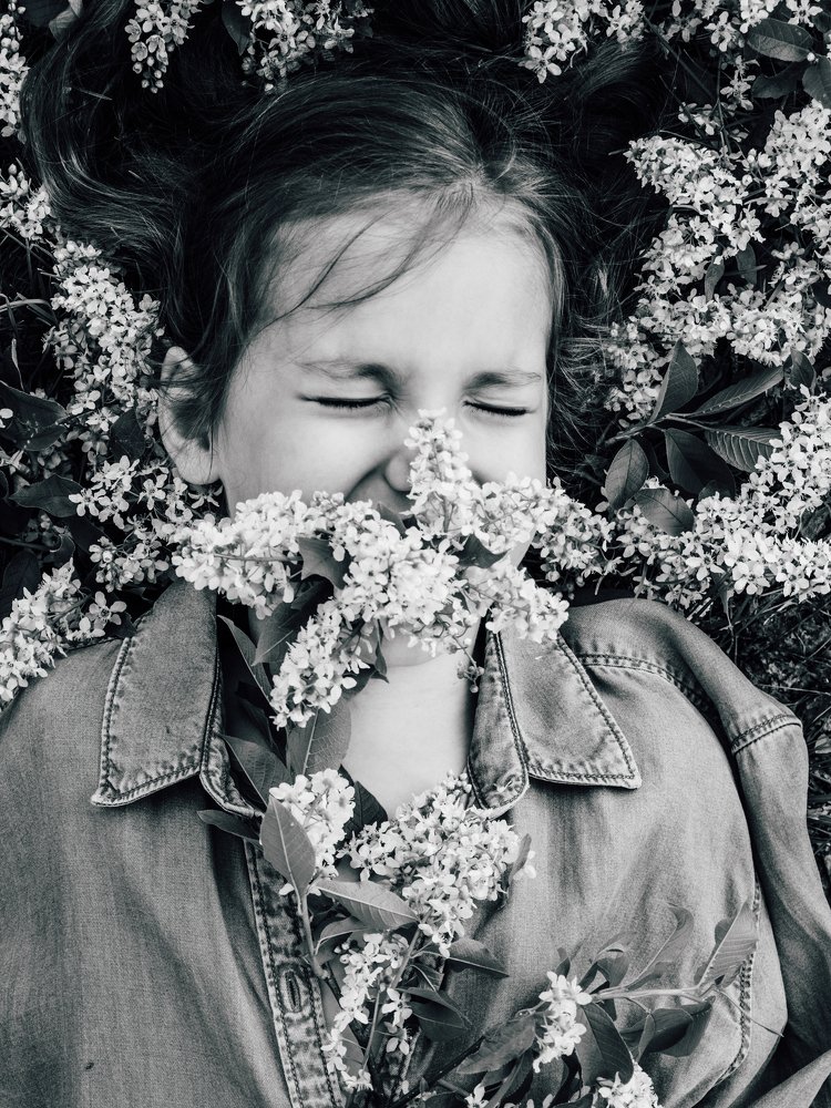 Черемухи бум