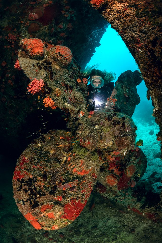 "Kudhima" wreck propeller.