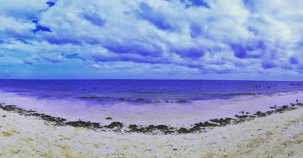 Photograph by Kathan Patel