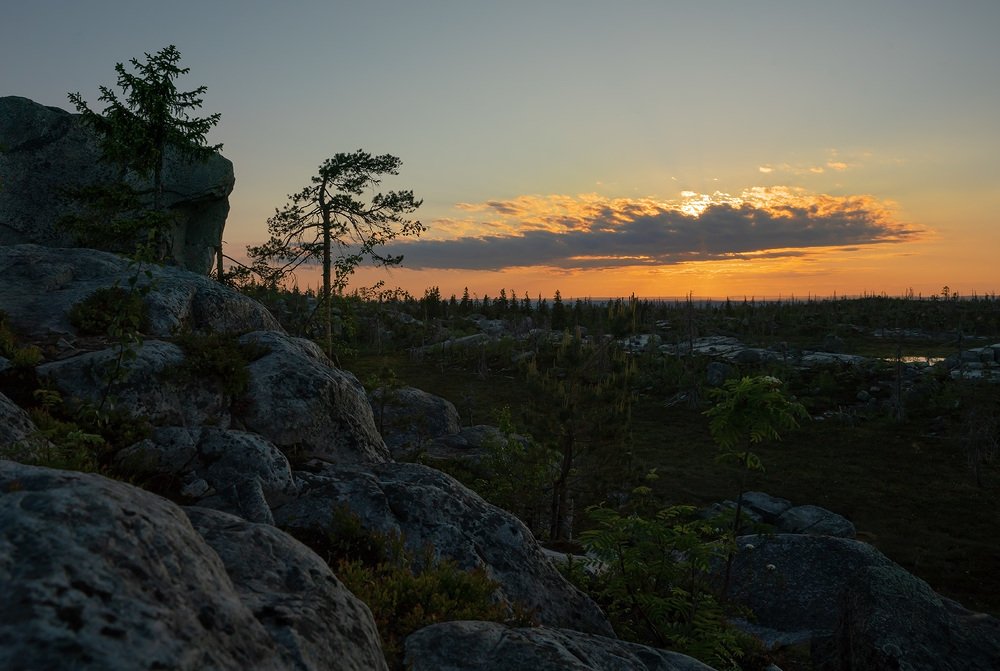 Photograph by Олег Милеев (Каминцев)