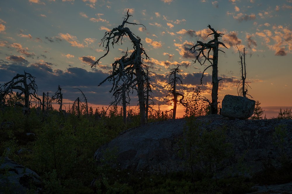 Photograph by Олег Милеев (Каминцев)