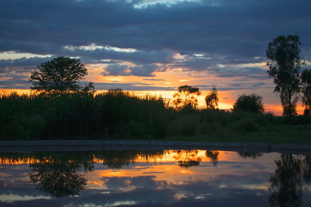 Colours in sunset...