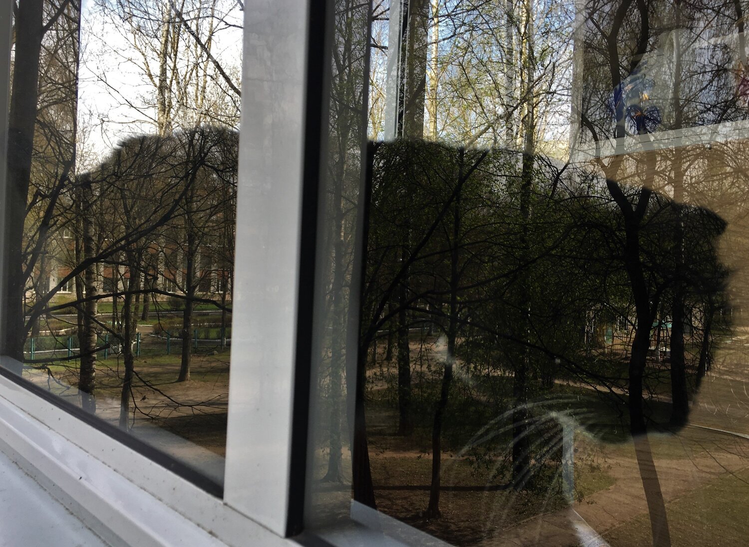 Photo #3413234