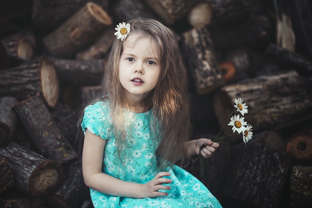 Ромашковое лето