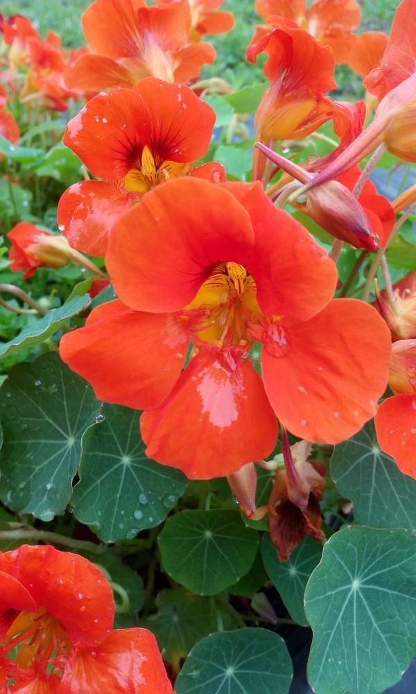 Photograph by Юлия Зеленева