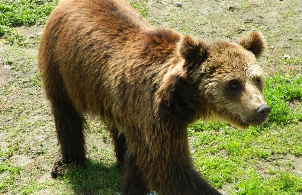 Photograph by Юлия Зеленева