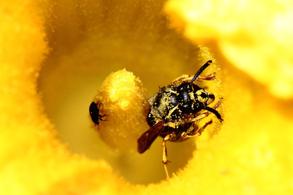 Терпение и труд - всё перетрут...
