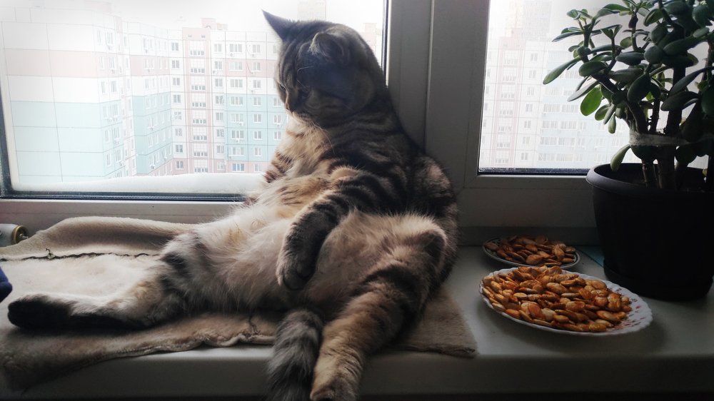 Как жить эту жизнь? - думает Артур