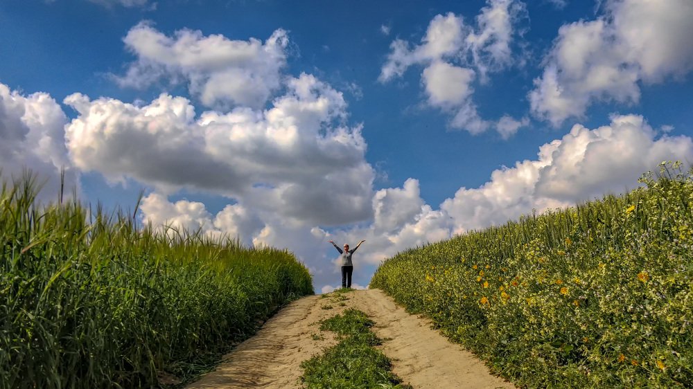 Какой чудесный день!