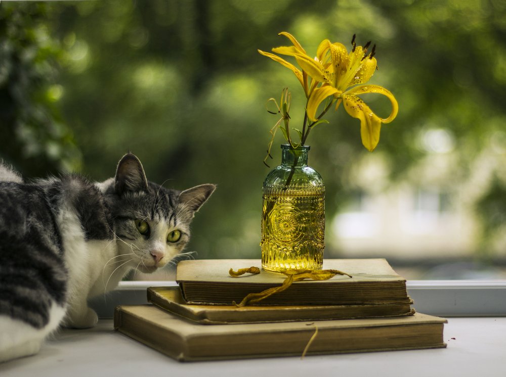 Photograph by Мария