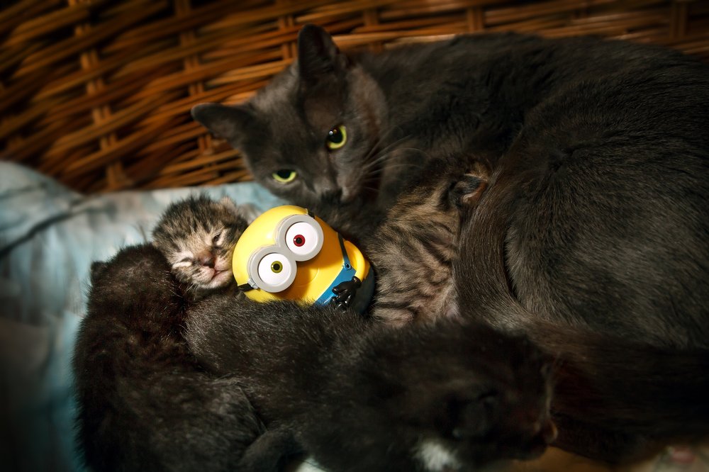 Photograph by Анатолий Белощин