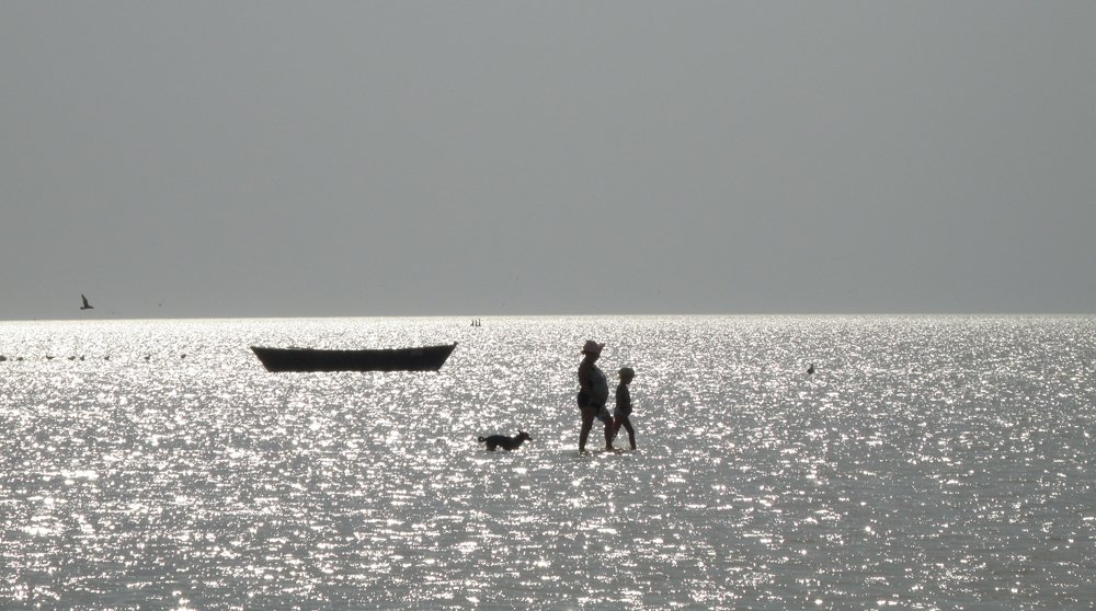 Азовское мелководье