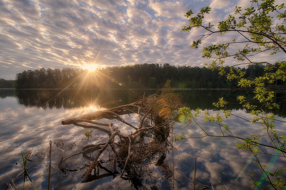 С первыми лучами