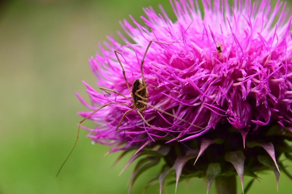 Photograph by Александр