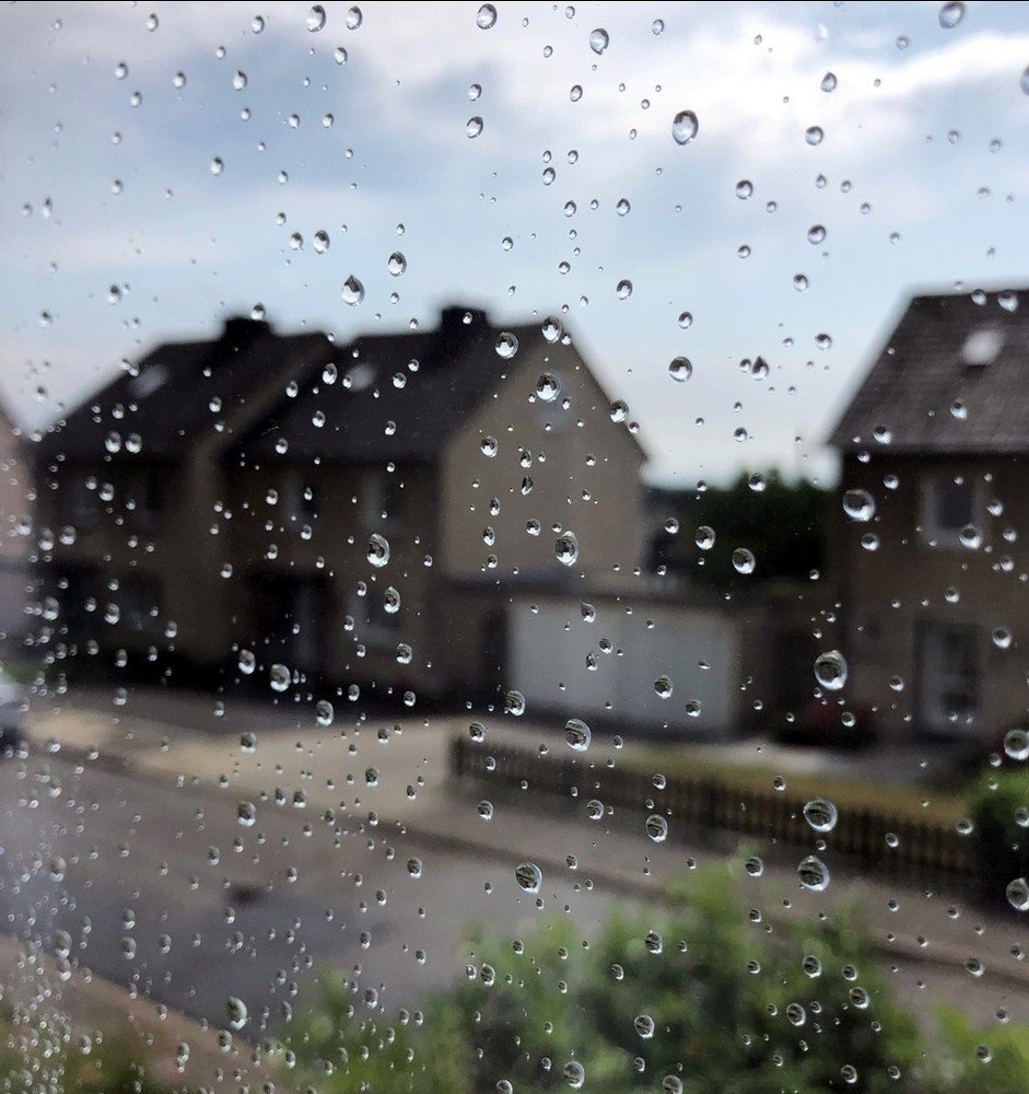 После дождя