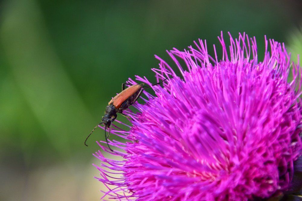 раннее утро