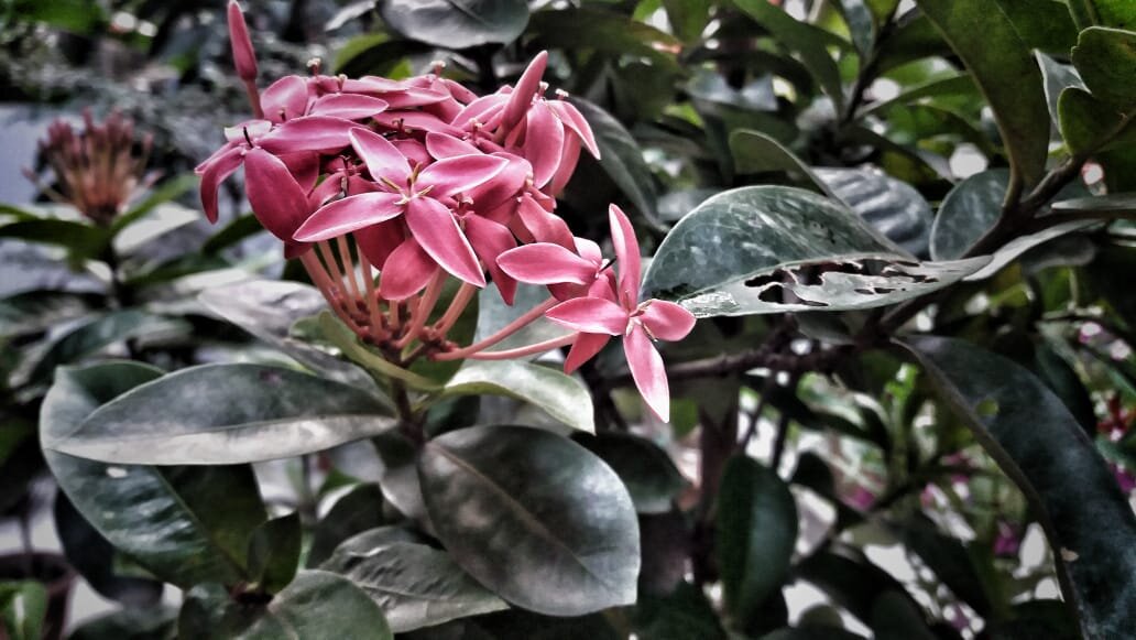 Photo #3414003