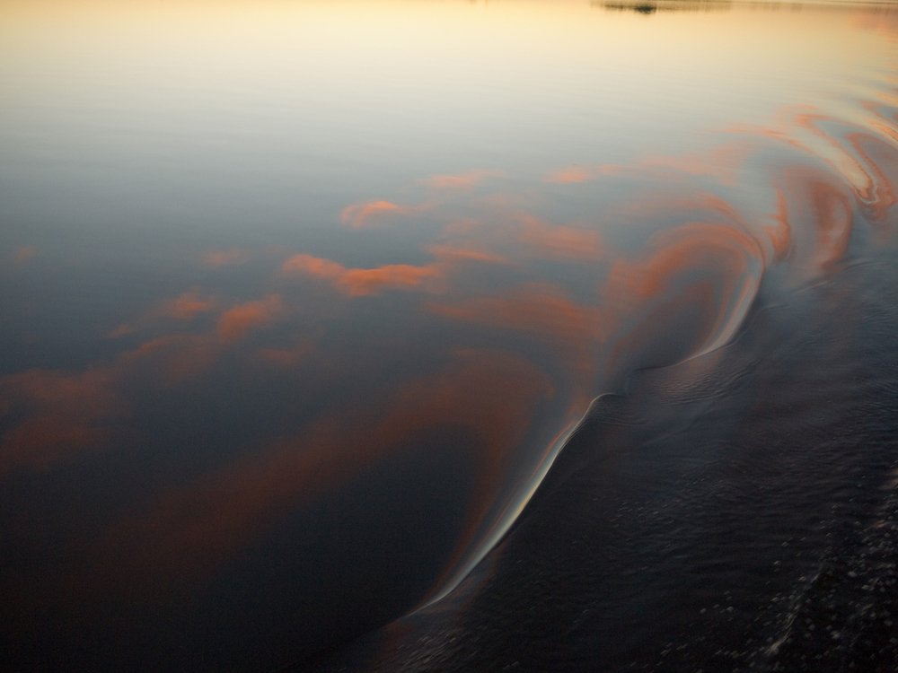 Photo #3414053