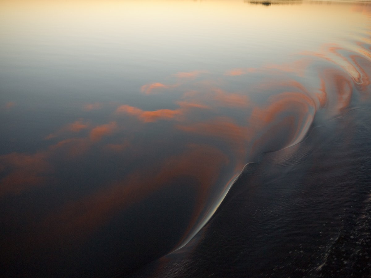 Photo #3414053