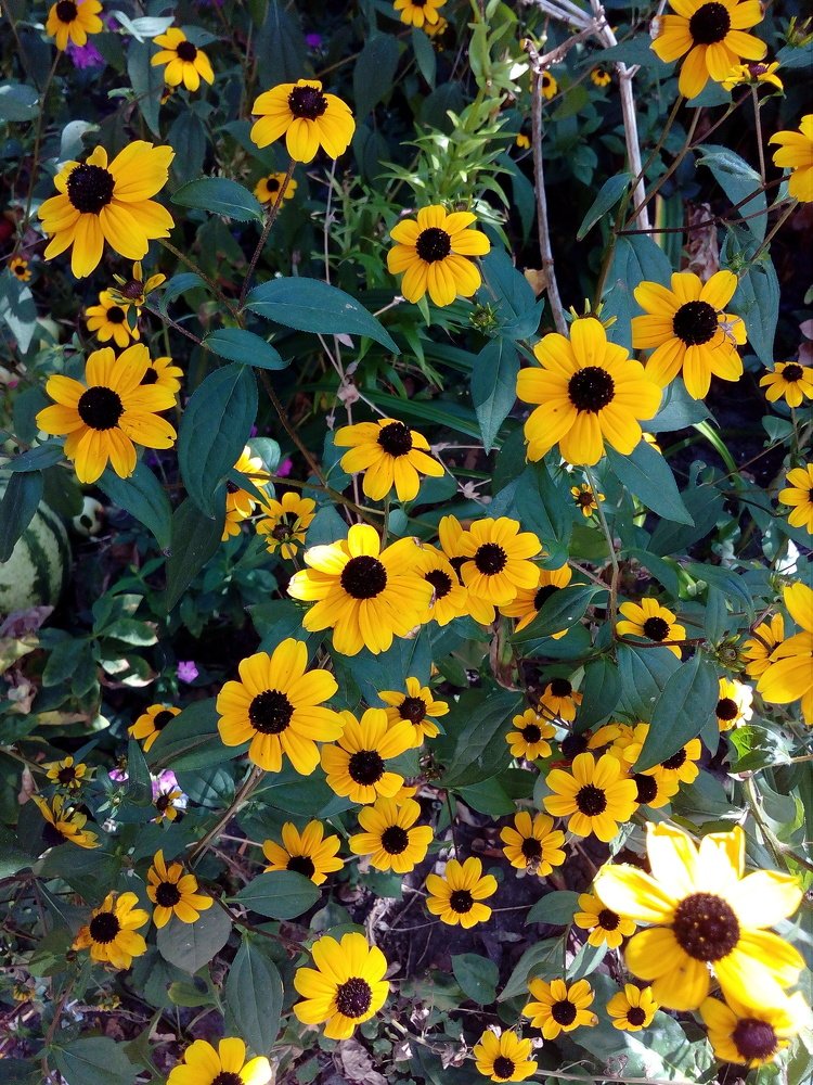 Photograph by Ирина Марченко