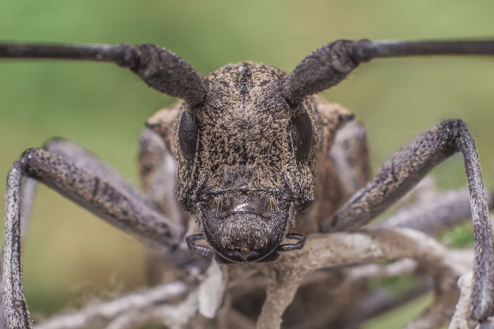 Photograph by Алексей Козлов