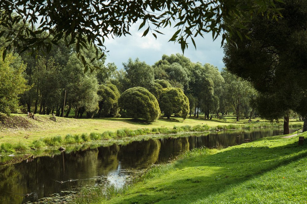 Река Пскова