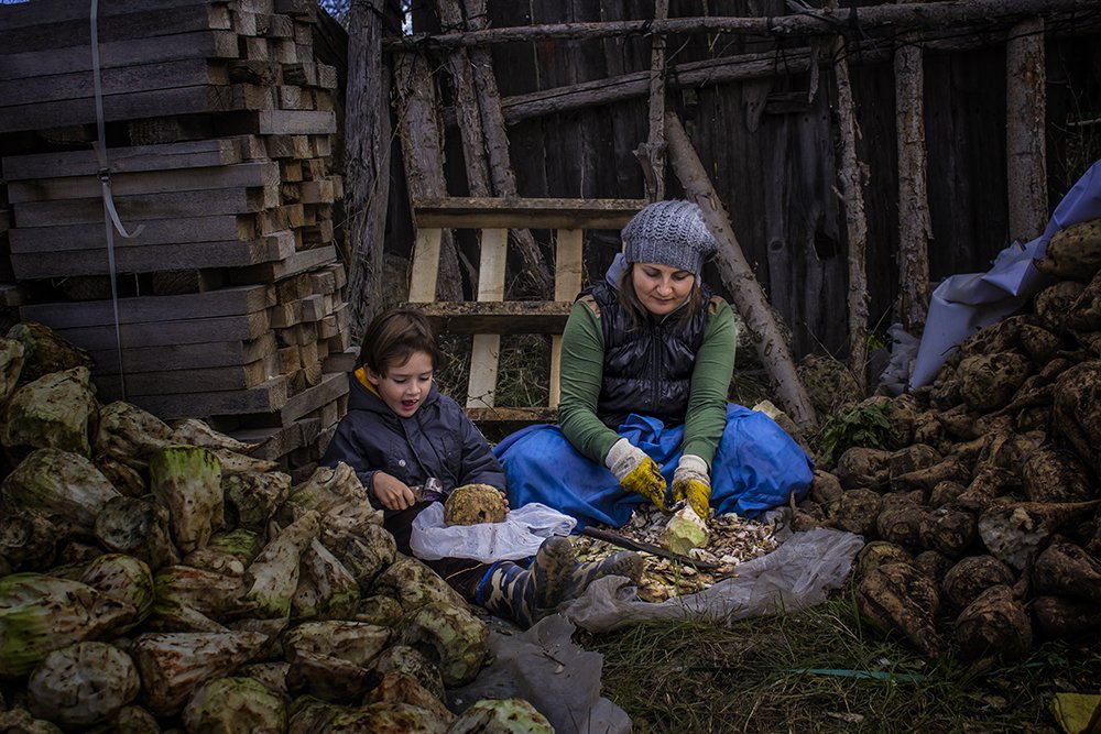 Little worker helping his mother
