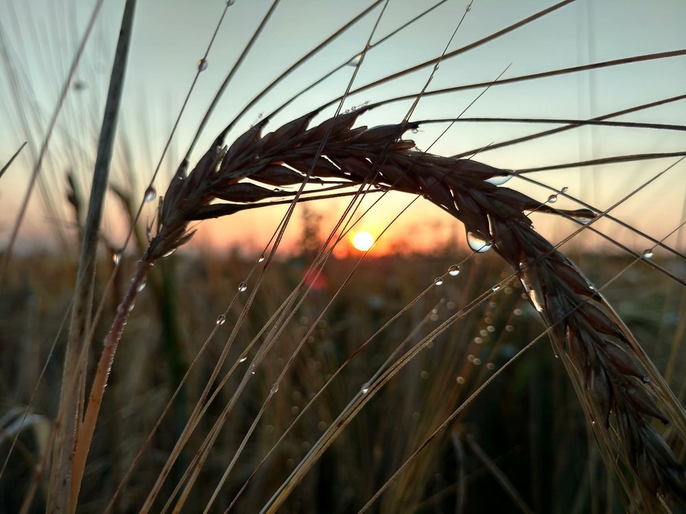 Photograph by Dzianis Mizhui