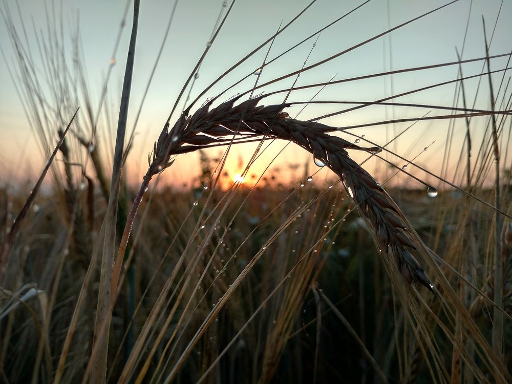 Photograph by Dzianis Mizhui
