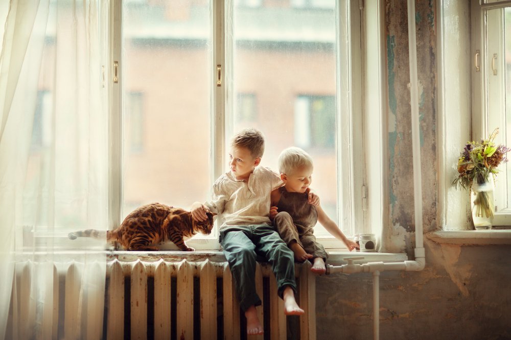 Двое и Барсик