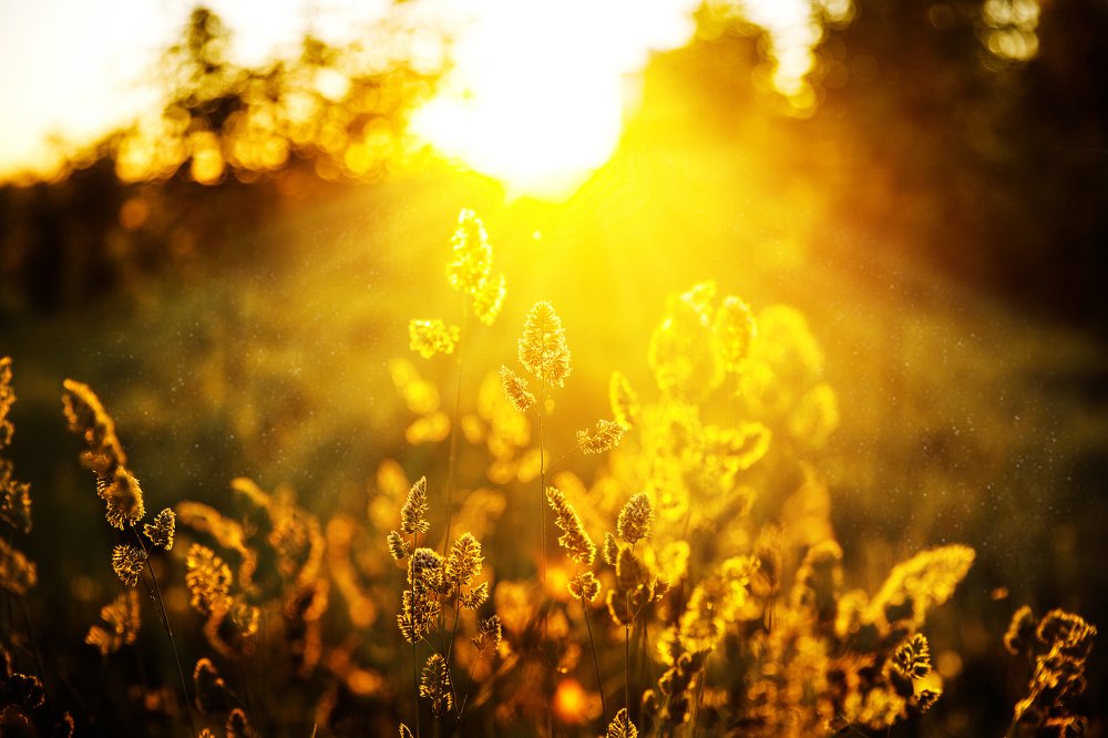 Фотография автора Гудкова Светлана