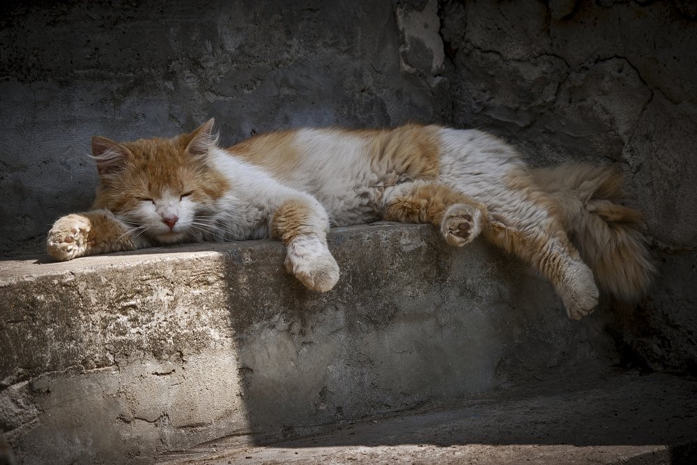 На крылечке