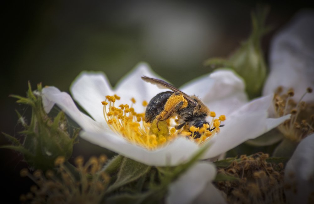 С головой в работе