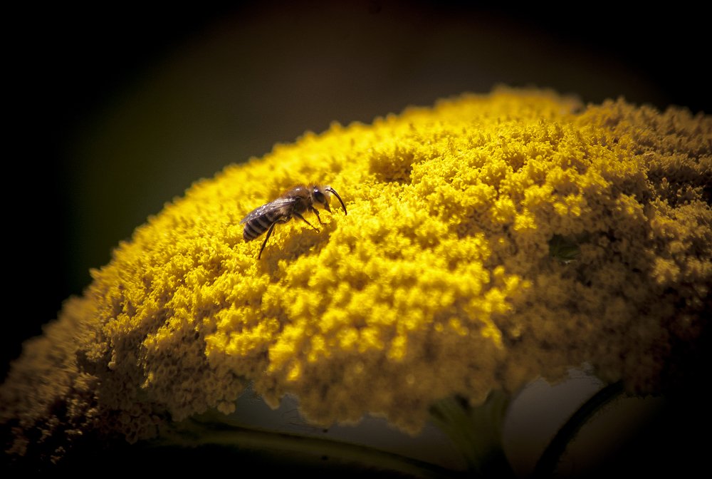 А Солнце не такое и жаркое!