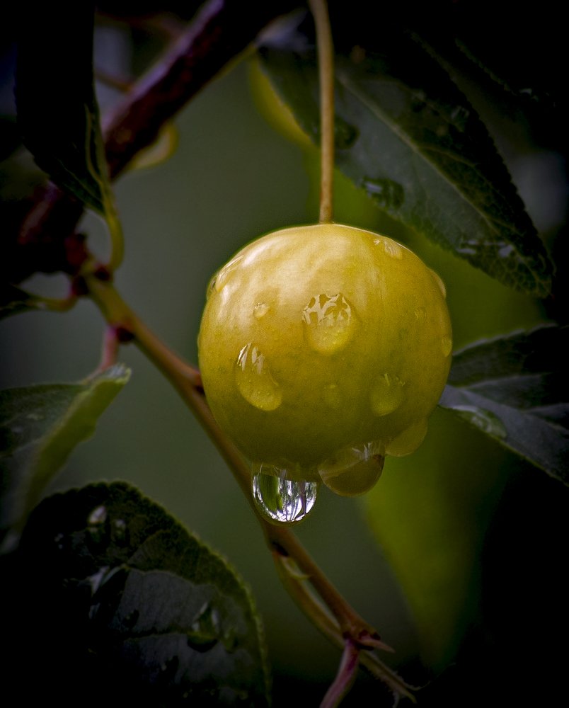 После дождя