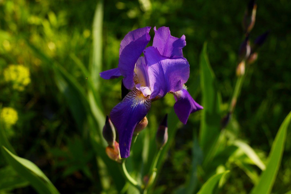 Photograph by Михаил Строев