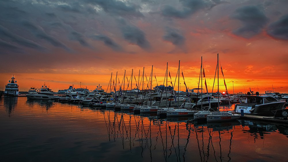 Ночная гавань