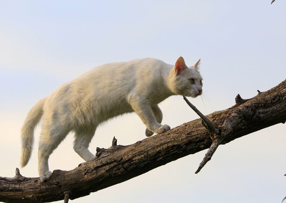 Дуся на охоте 2