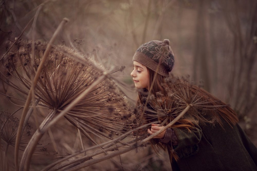 В стране чудес