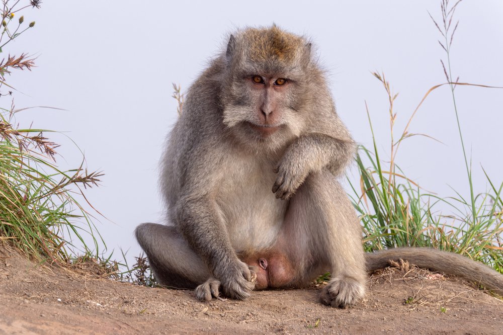 Photograph by Ксения Рыбка