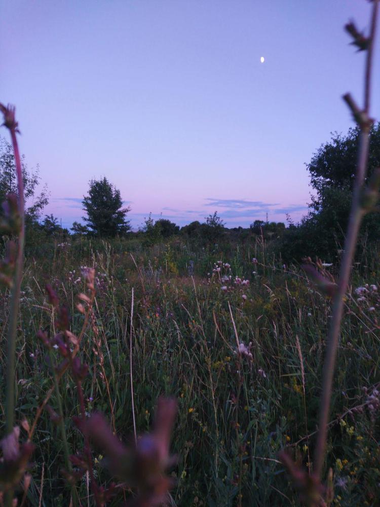 Photograph by Татьяна Савченко