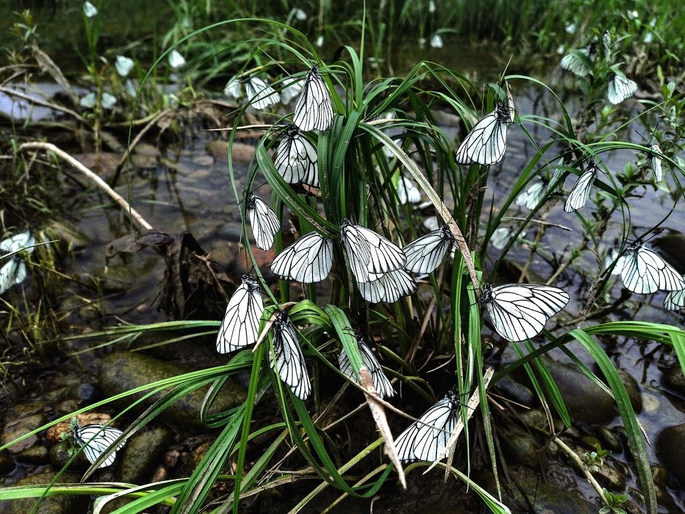 "Припарковались".
