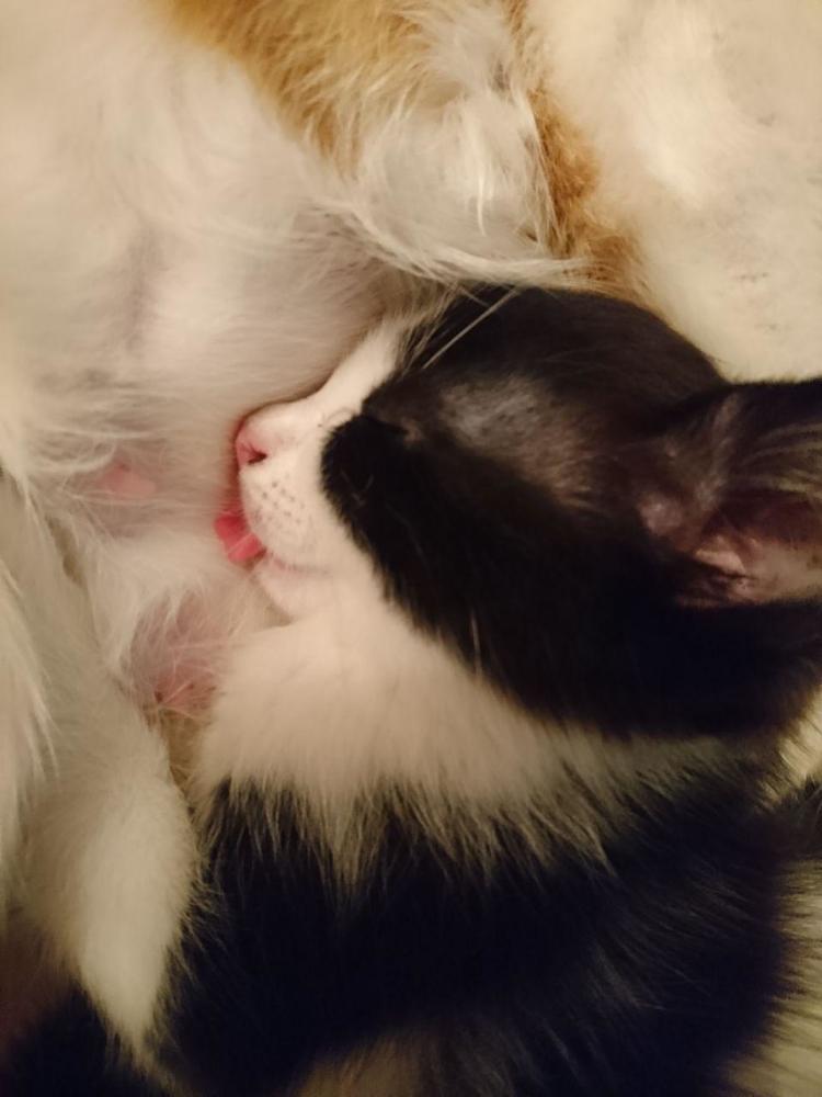 Photograph by Татьяна Савченко