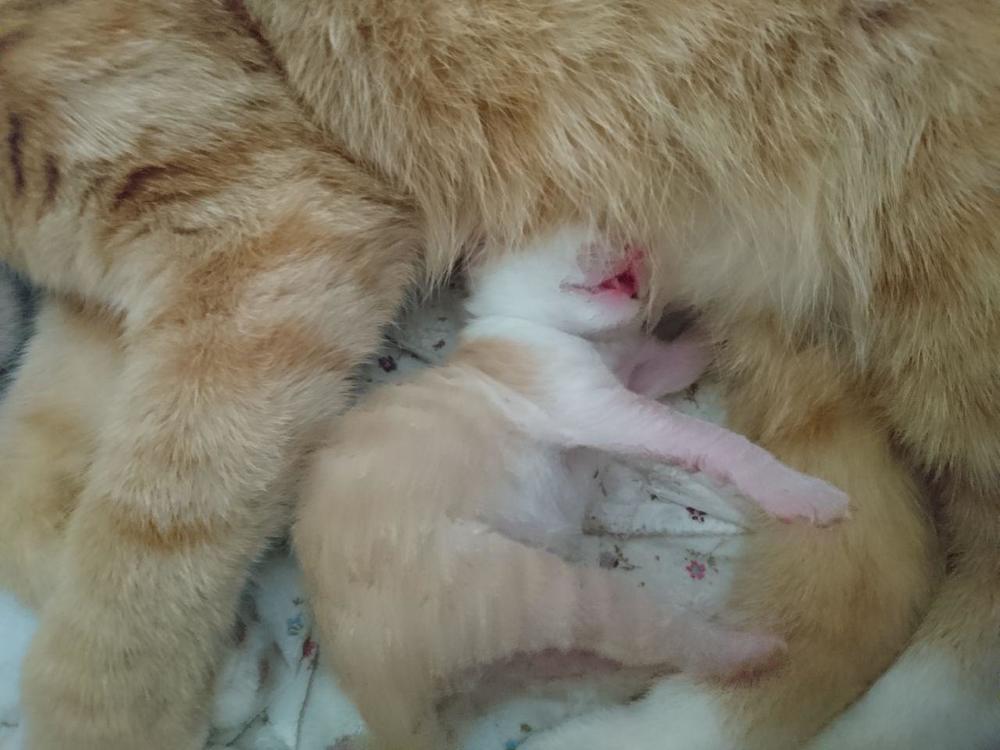 Photograph by Татьяна Савченко