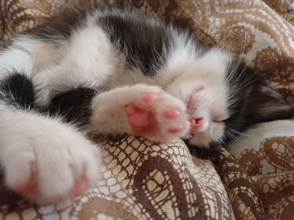 Photograph by Татьяна Савченко