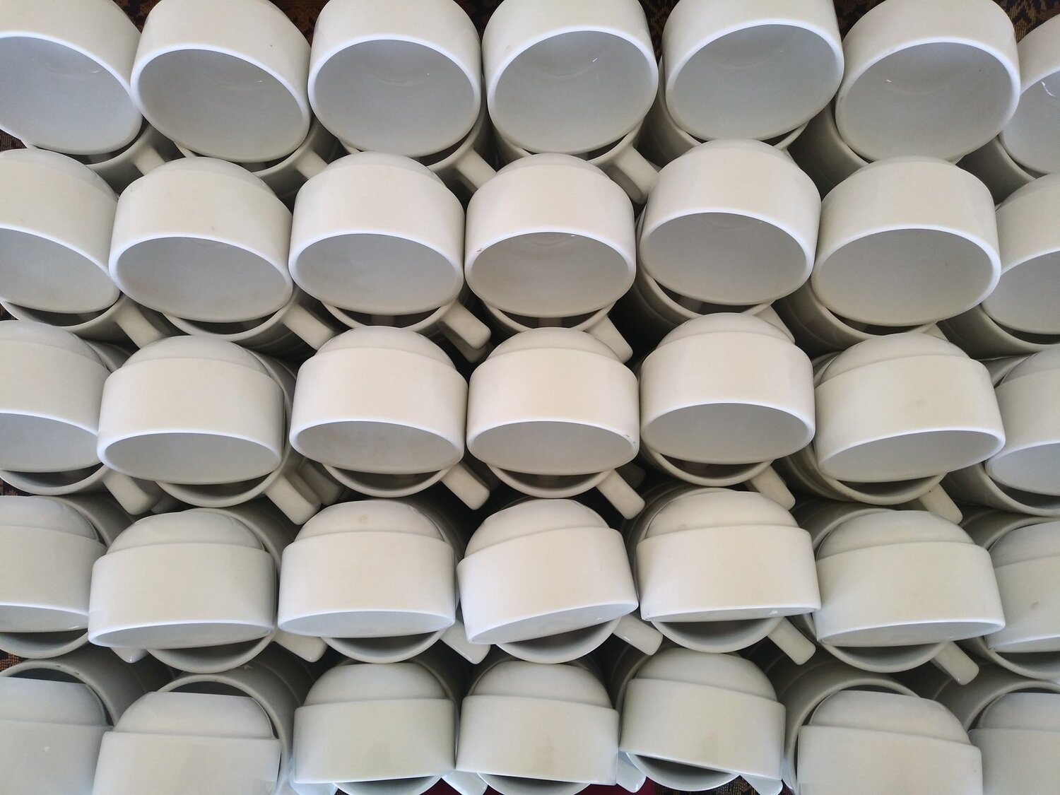 democrazy cup